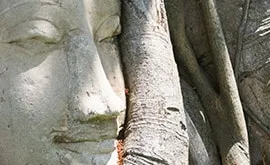 La conscience sociale pour construire sa relation avec les autres.